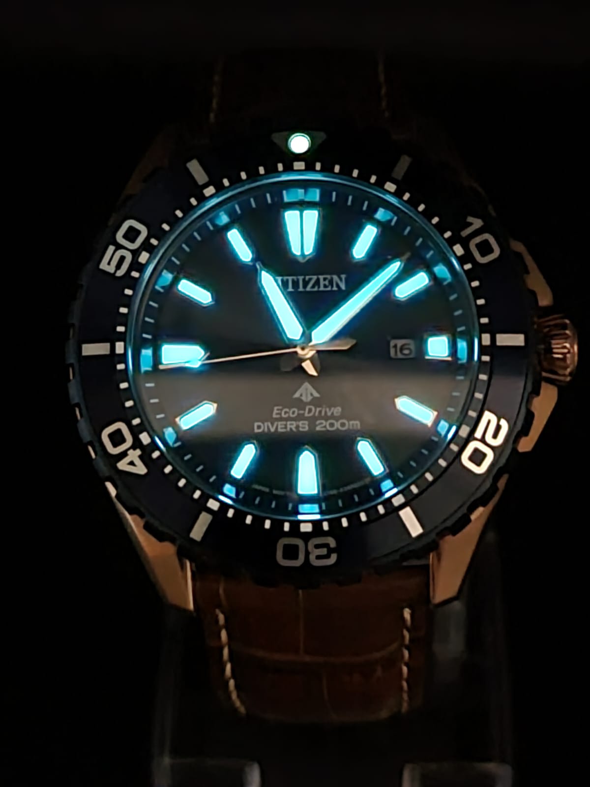 Citizen Promaster Diver Men's Watch BN0196-01L