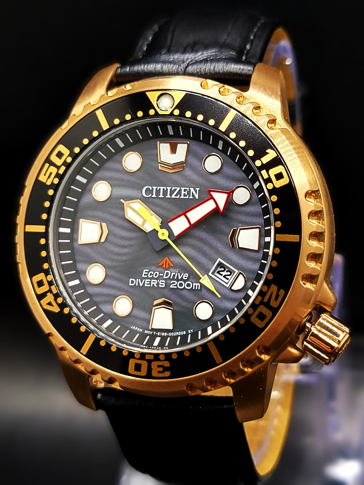 Citizen Promaster Dive