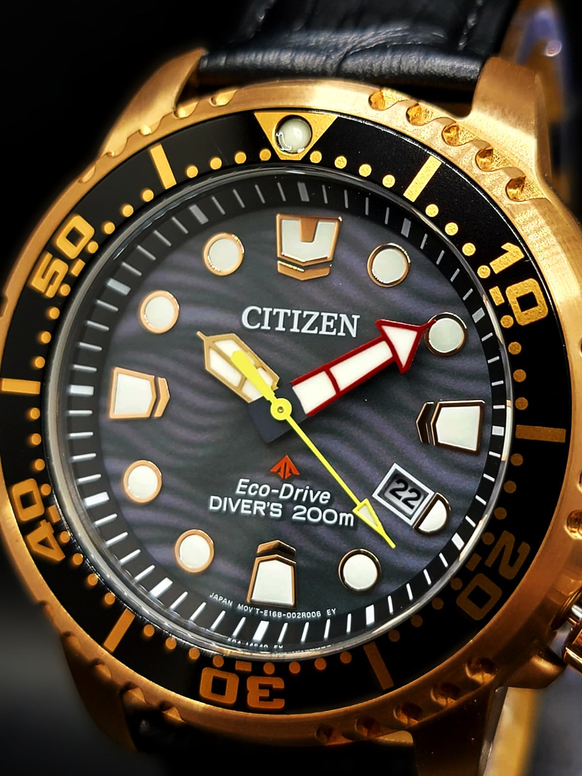 Citizen Promaster Dive