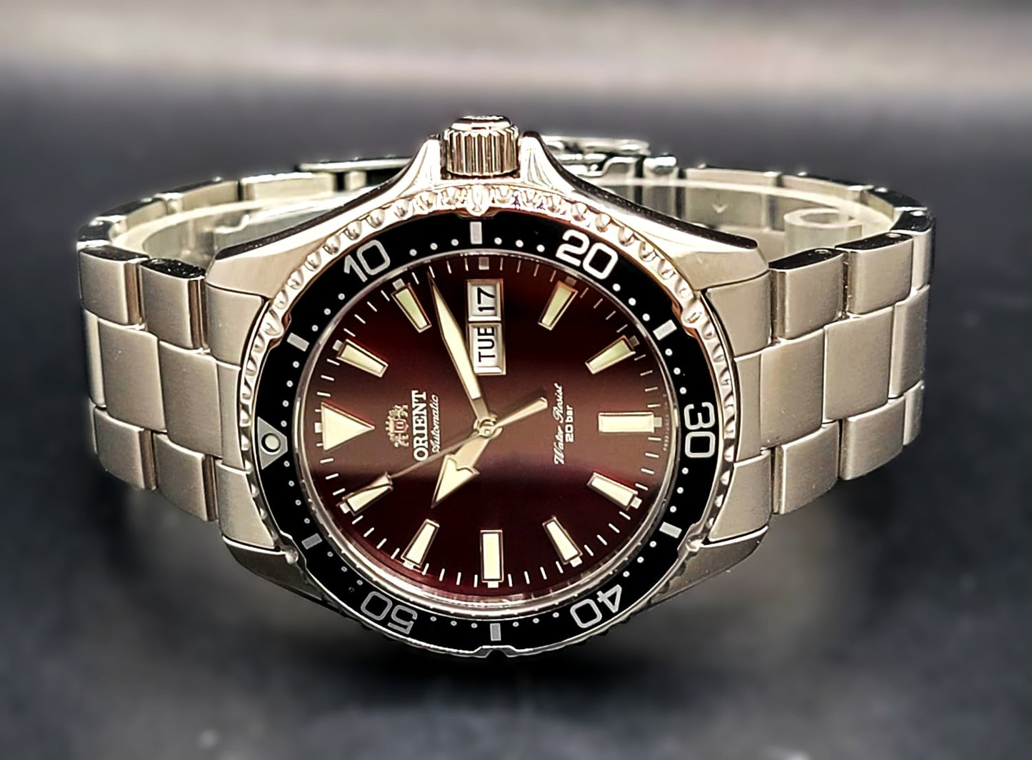 Orient Kamasu Maroon Dial Men's Stainless Steel Diver Watch RA-AA0003R39B