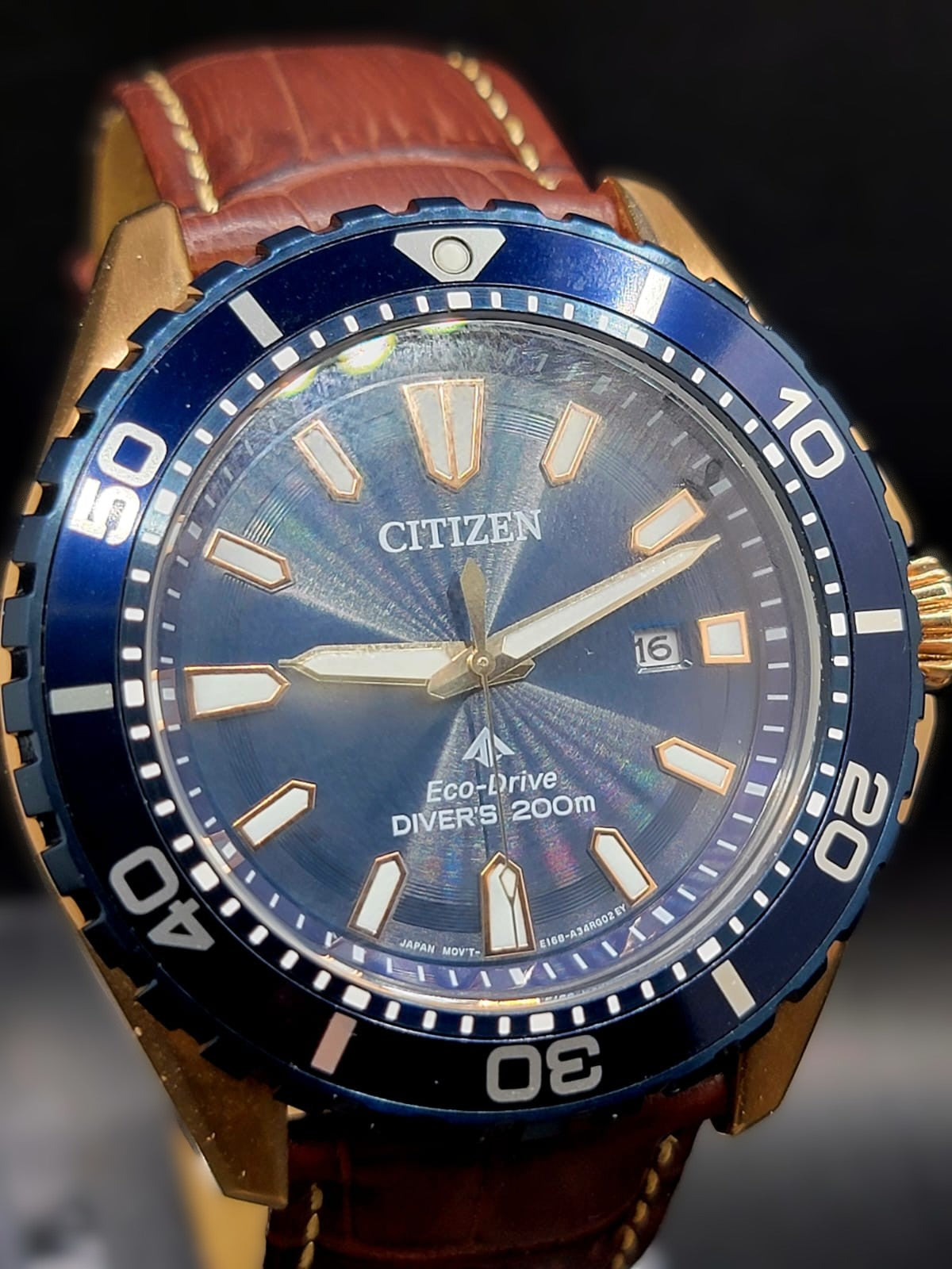 Citizen Promaster Diver Men's Watch BN0196-01L