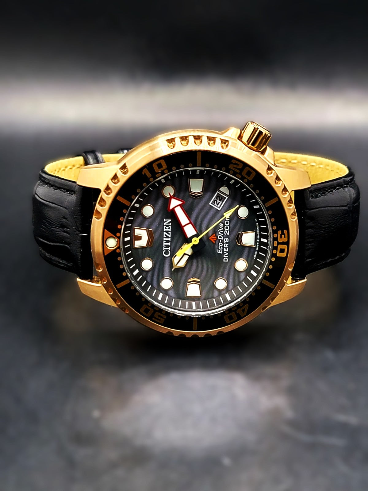 Citizen Promaster Dive