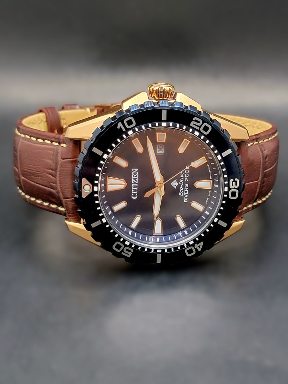 Citizen Promaster Diver Men's Watch BN0196-01L