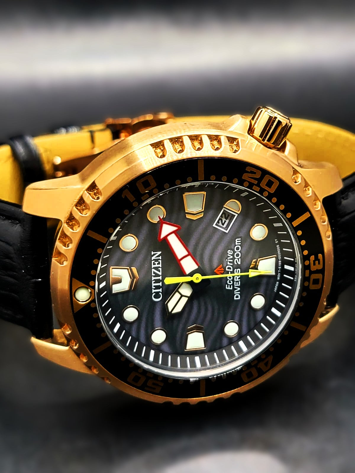 Citizen Promaster Dive
