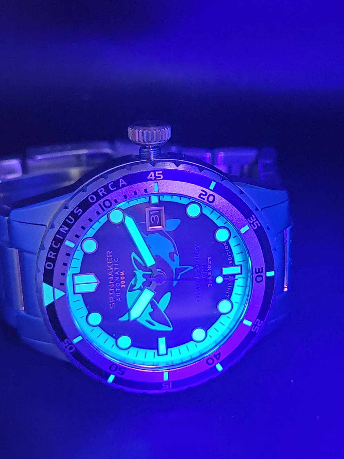 Spinnaker Hass Automatic Whale Sanctuary Project Limited Edition