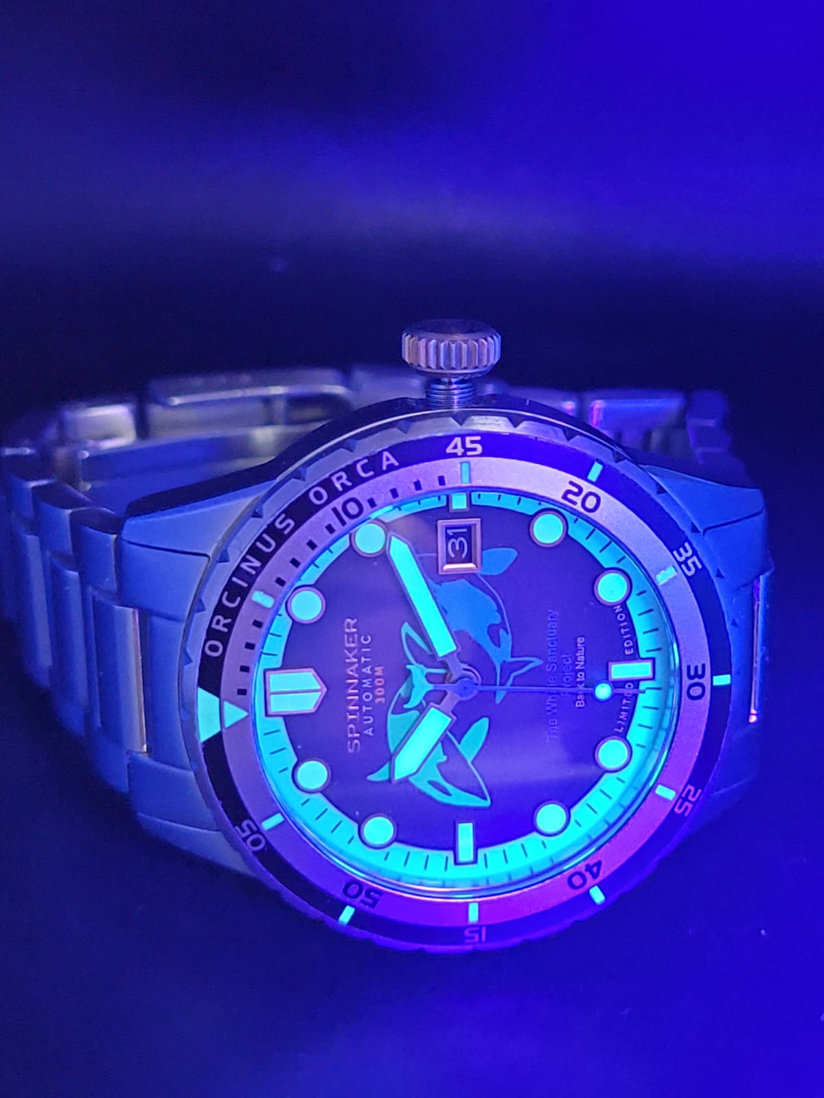 Spinnaker Hass Automatic Whale Sanctuary Project Limited Edition